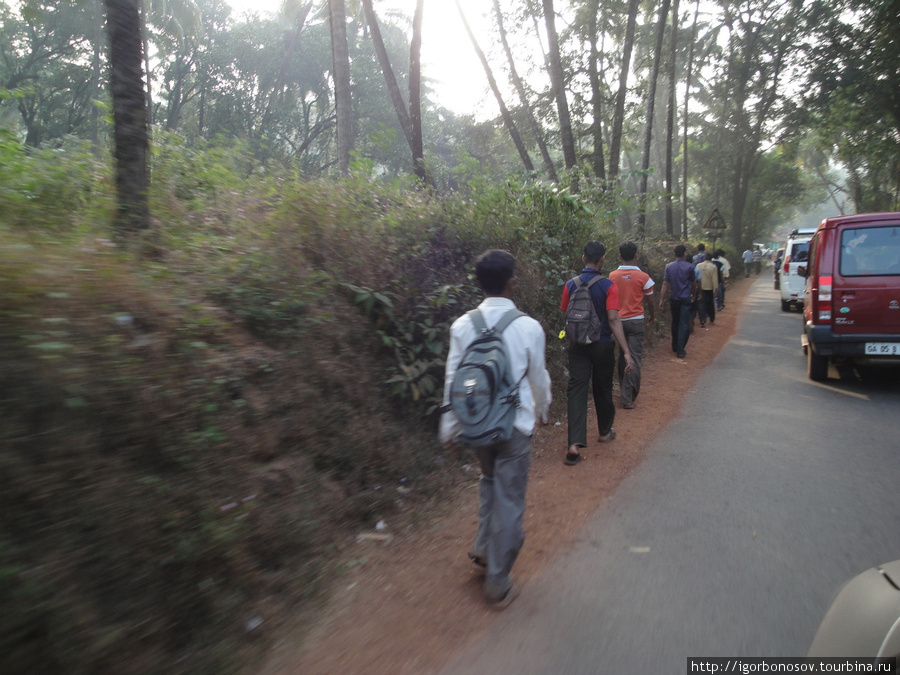 Самое хреновое в штате Гоа — отсутствие тротуаров. Люди ходят просто по обочинам, в пыли и мусоре, уворачиваясь от машин. Штат Гоа, Индия