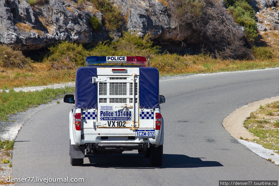 Полиция в основном отслеживает брошенные арендные велосипеды. Остров Роттнест, Австралия