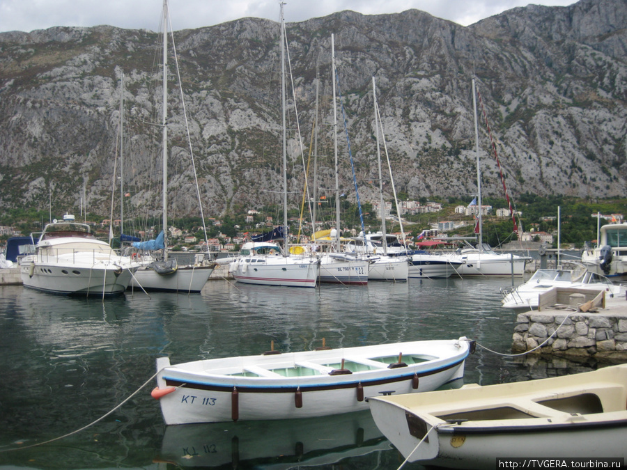 В Которе много недорохих парковок для яхт. Излюбленное место англичан. Черногория
