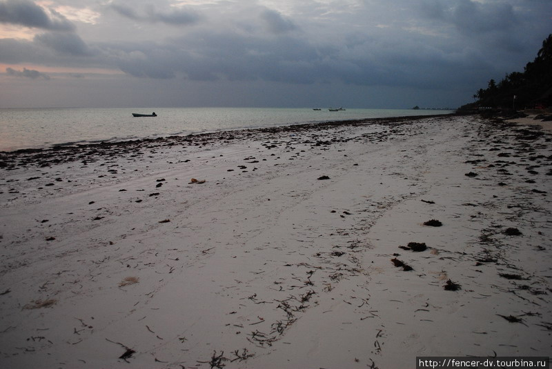 Пустынные утренние пляжи Остров Занзибар, Танзания