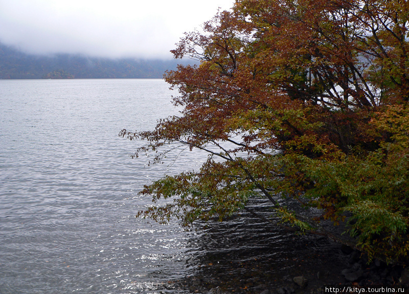 Никко в осенних тонах: озеро Тюзэндзико Никко, Япония