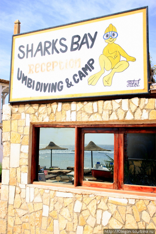 Залив акул Шарм-Эль-Шейх, Египет