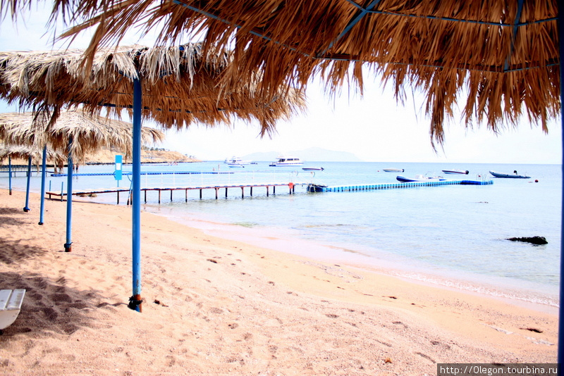 Шаркс-Бэй- спокойная бухта с защищённым от ветра пляжем Шарм-Эль-Шейх, Египет