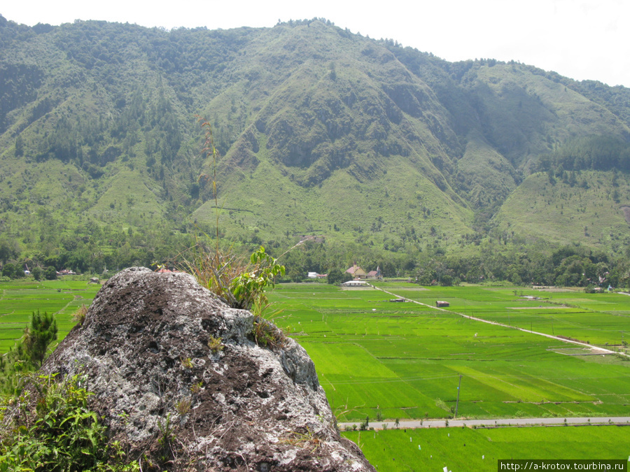 Холмы в окрестностях Тук-Тука Остров Самосир, Индонезия