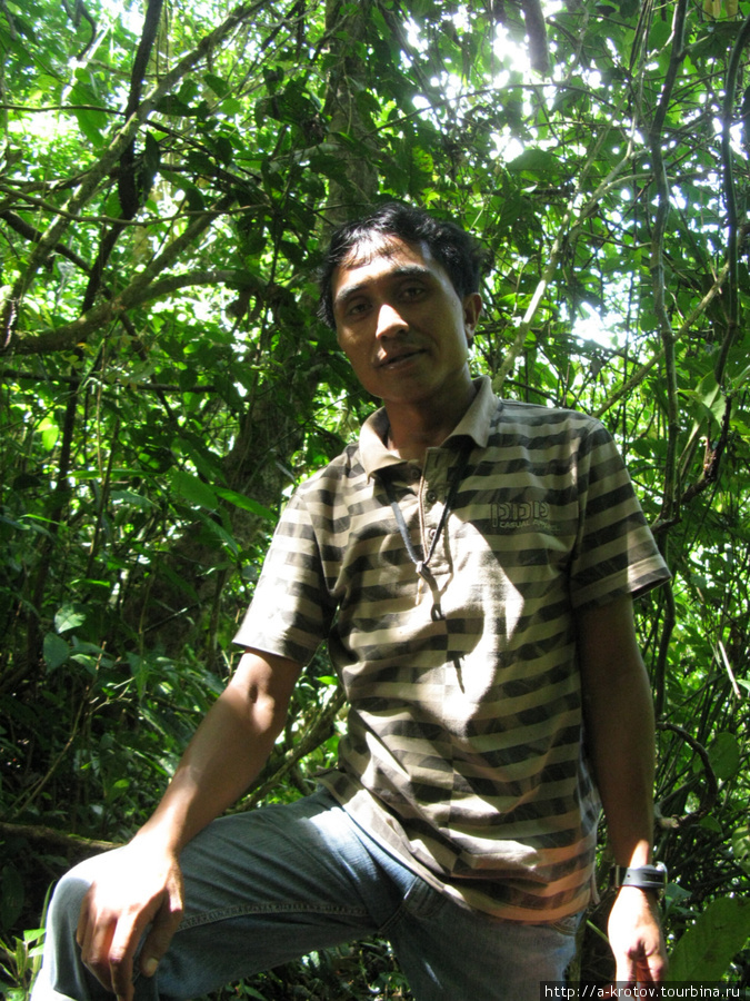 Гид-ботаник, коему я отдал 30,000 рупий (100 руб), но он честно на меня одного потратил час времени Букиттинги, Индонезия