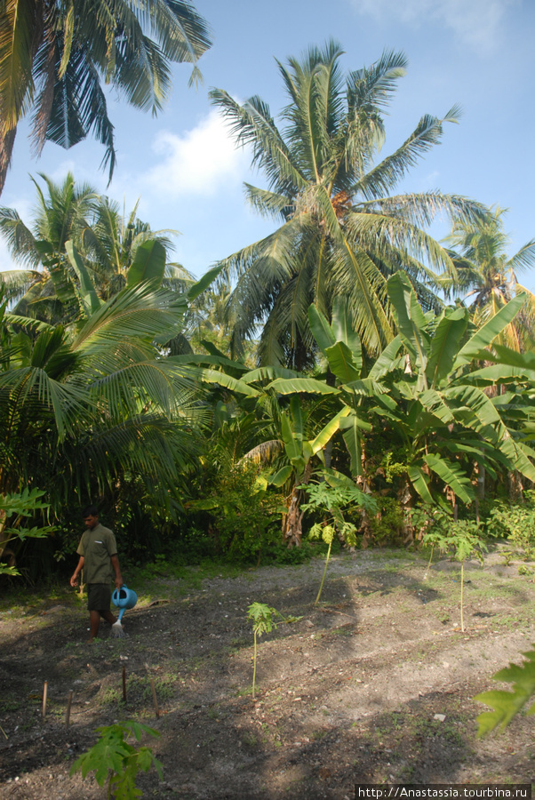 Худхуранфуши, персонал Северный Мале Атолл, Мальдивские острова