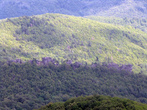 Панорама гор со смотровой площадки г. Тхаб (905 м. на уровнем моря).
Скалы-монастыри.
