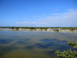 Экскурсия по полуострову Сапата: болота, где живет множество птиц