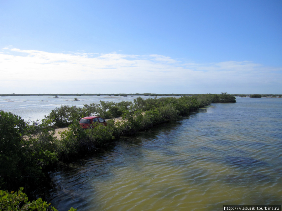 По болоту проходит такая туристическая тропа-дамба, без гида сюда не пускают. Плайя-Ларго, Куба