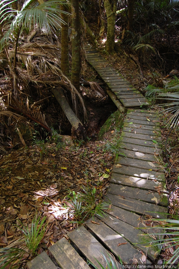 Деревянная дорожка Остров Ваихики, Новая Зеландия