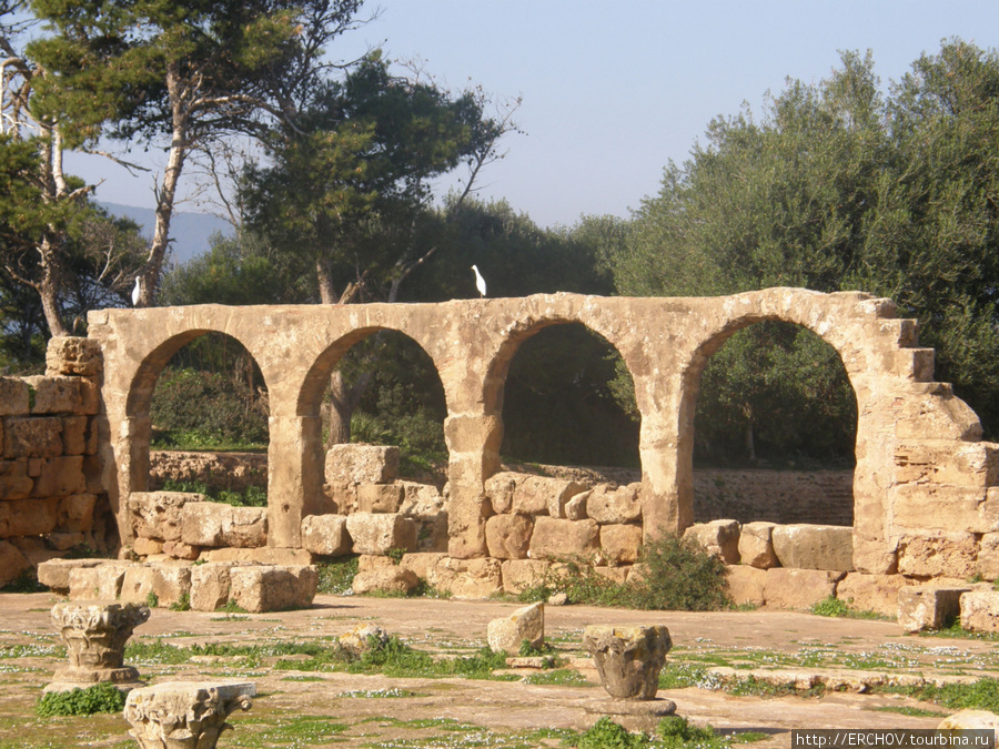 Руины древней Типасы Типаса, Алжир