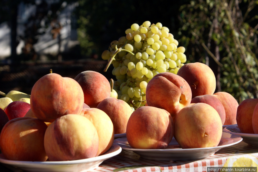 Персики и виноград на столе Архипо-Осиповка, Россия
