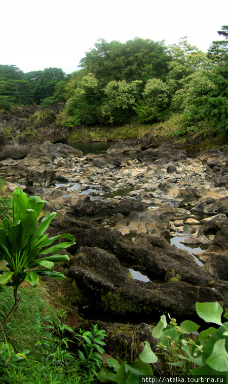 Про вулканы, лаву  и орхидеи Хавайи-Вулканос Национальный Парк, CША