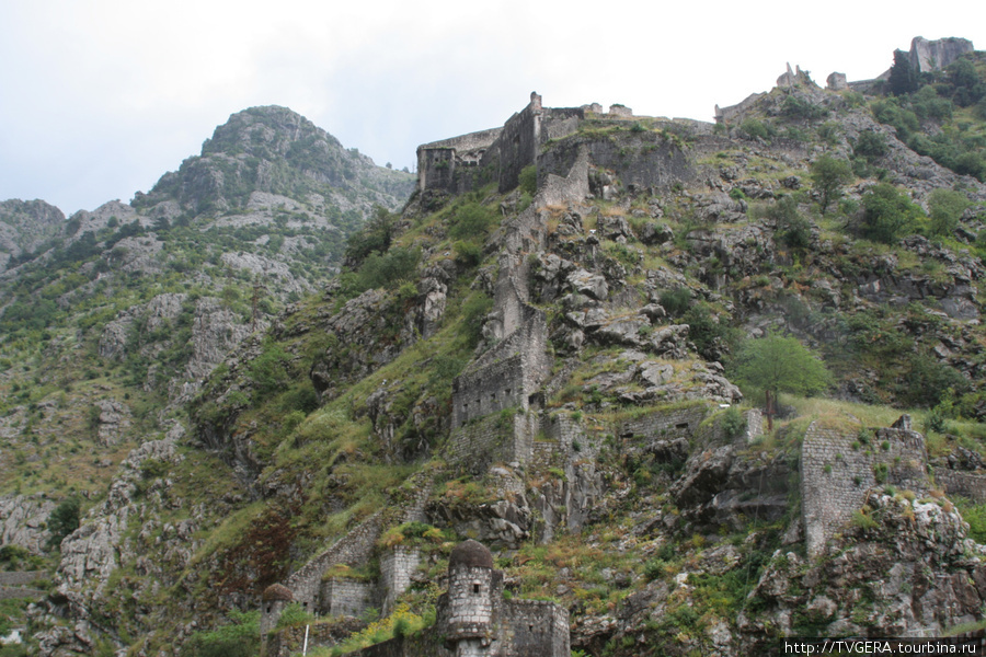 Крепостные стены вокруг города крепости Котор. Черногория
