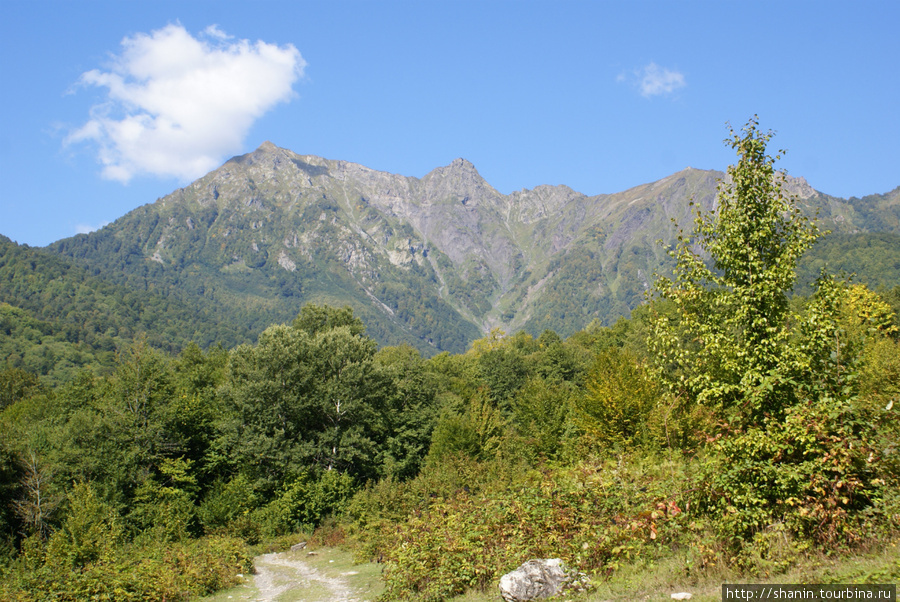 Летом на зимнем курорте Красная Поляна, Россия