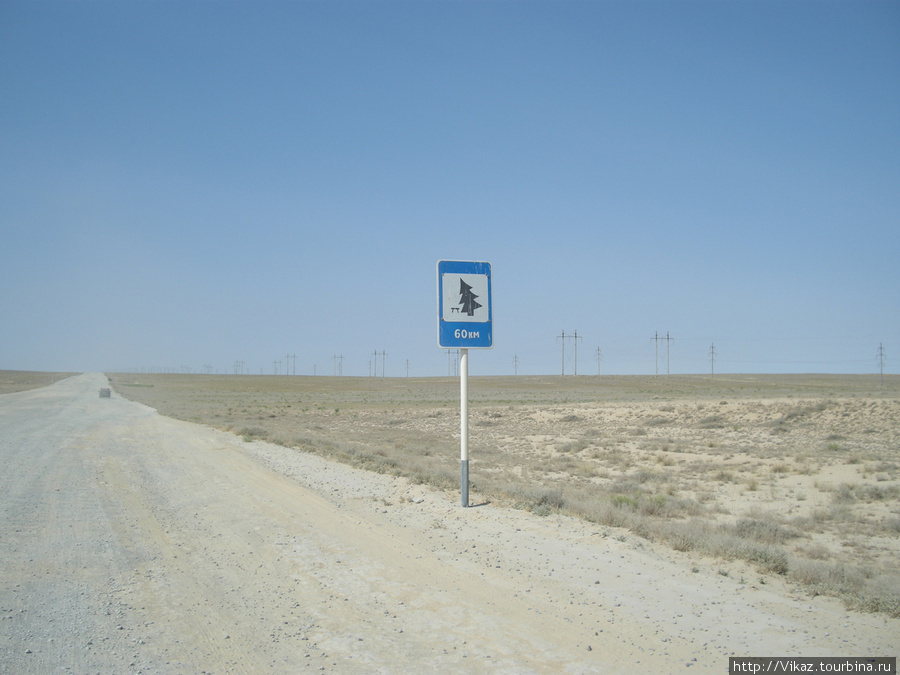 Нелепо в пустыни смотрится знак елка Полуостров Мангышлак, Казахстан