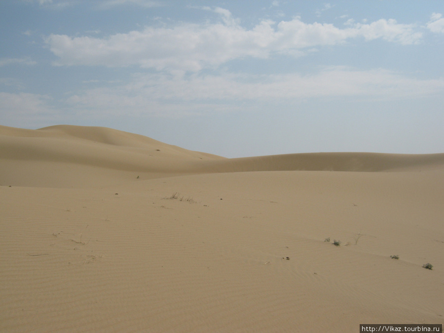 Пустыня Полуостров Мангышлак, Казахстан