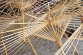 каркас обыкновенный тайский зонтичный