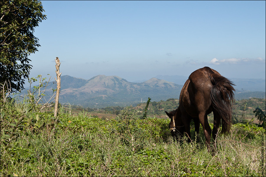 Все близлежащая территория покрыта вот такими небольшими горами, на которой гуляют лошади Тагайтай, Филиппины