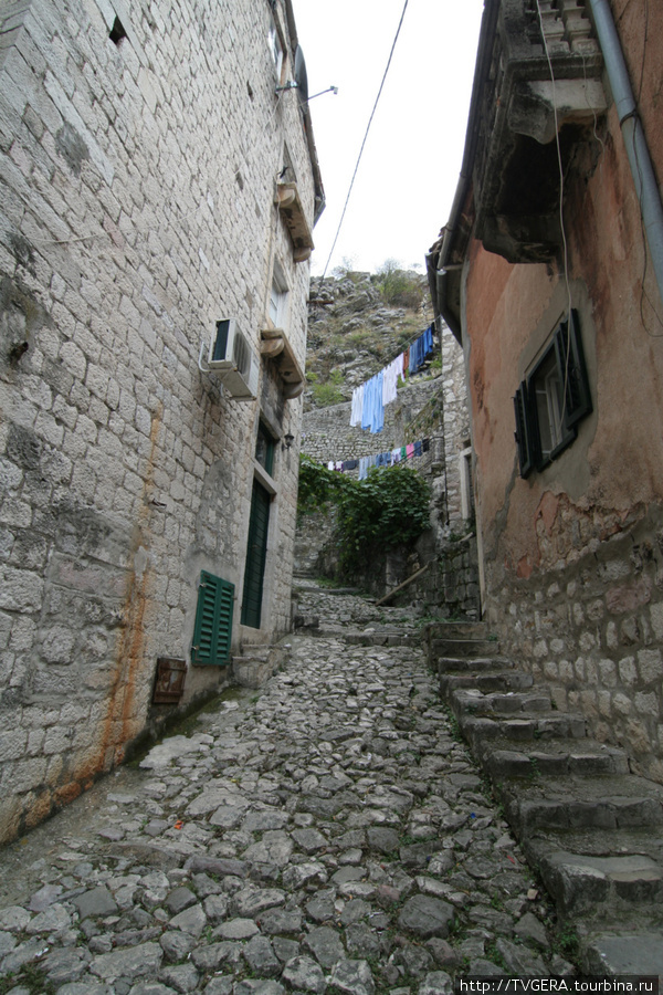 Улочки средневекового Котора Черногория