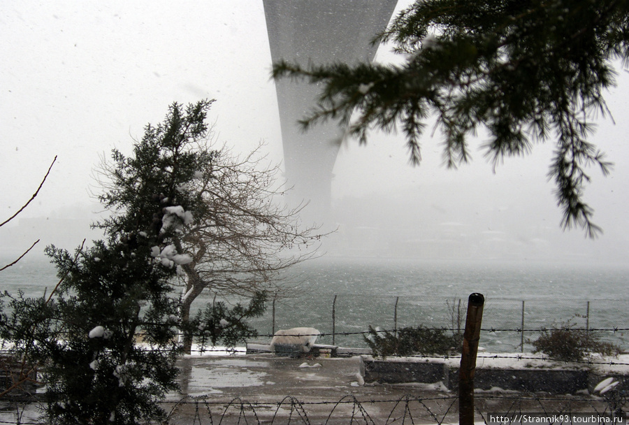 Первый мост. Снег — не частый гость в Станбуле. И конечно, бросив работу я поехал фотографировать. Стамбул, Турция