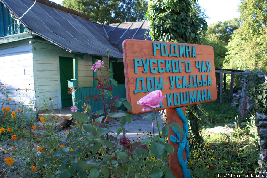 Музей русского чая в поселке Солох-Аул Сочи, Россия