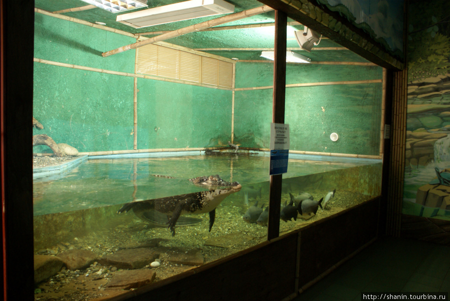 В Сочинском аквариуме в Мацесте Сочи, Россия
