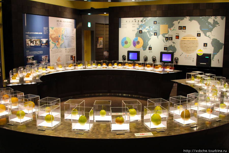 Японский Музей груш Префектура Тоттори, Япония