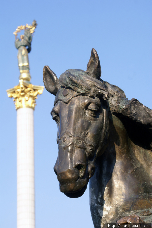 Бронзовый конь на фоне колонны на Майдане Незалежности (площадь Свободы) Киев, Украина