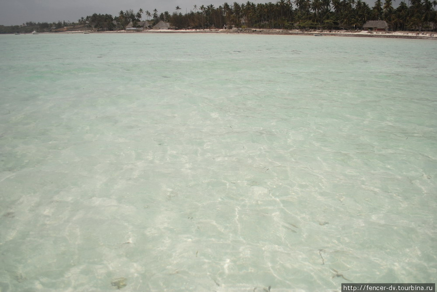 Белая вода восточного побережья Остров Занзибар, Танзания