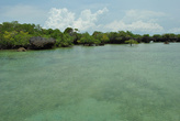 Зеленые воды мангровой лагуны