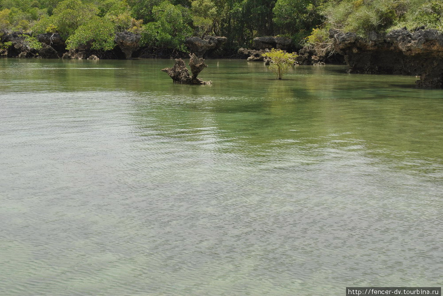 Радуга океанской воды Остров Занзибар, Танзания