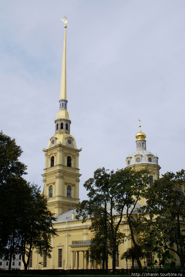 Петропавловский собор в Петропавловской крепости Санкт-Петербург, Россия