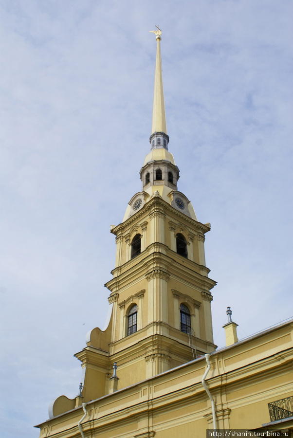Шпиль Петропавловского собора Санкт-Петербург, Россия