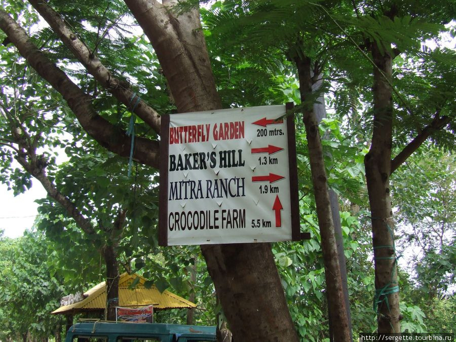 Прямо поедешь, попадешь на крокодилову ферму. 
Налево — в сад бабочек, направо — Ранчо Митры и Бейкерс Хилл Пуэрто-Принсеса, остров Палаван, Филиппины