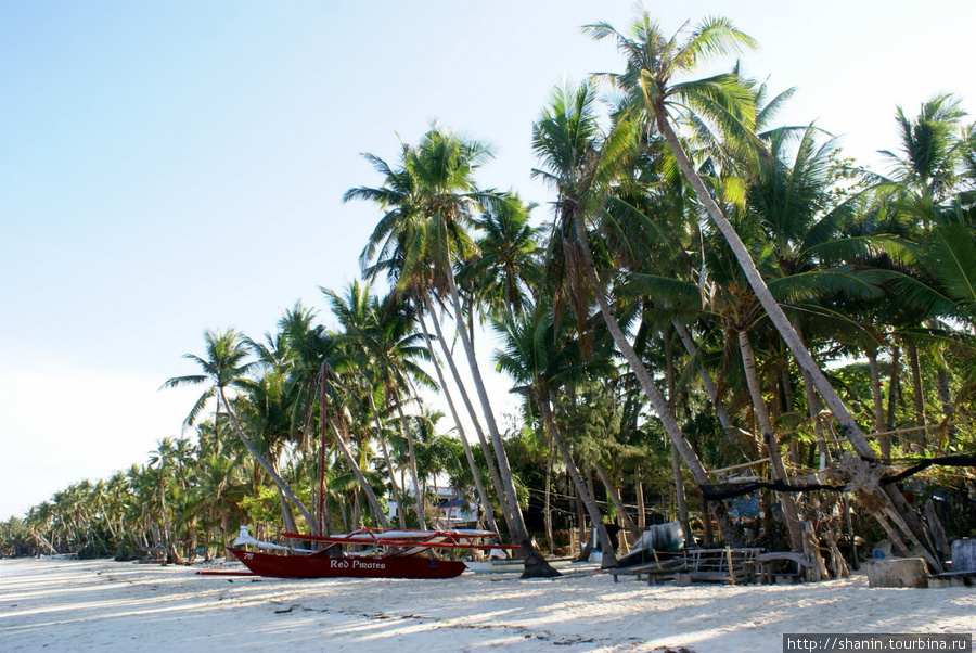 Пяж с пальмами на острове Баракай Остров Боракай, Филиппины