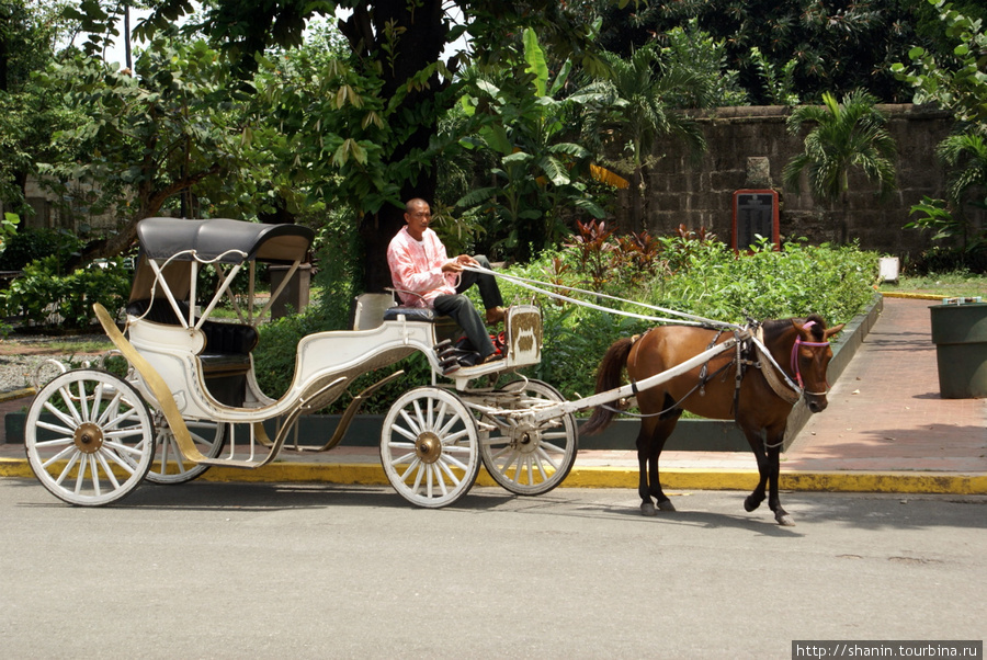 Лошадь с телегой для туристов Манила, Филиппины