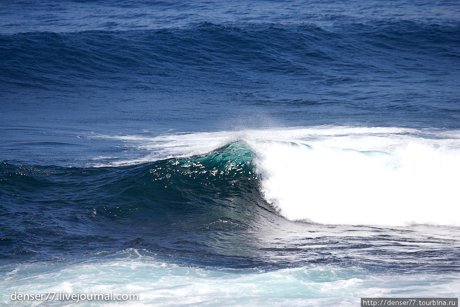 2. Через пару секунд это волна разобьётся о риф Остров Роттнест, Австралия