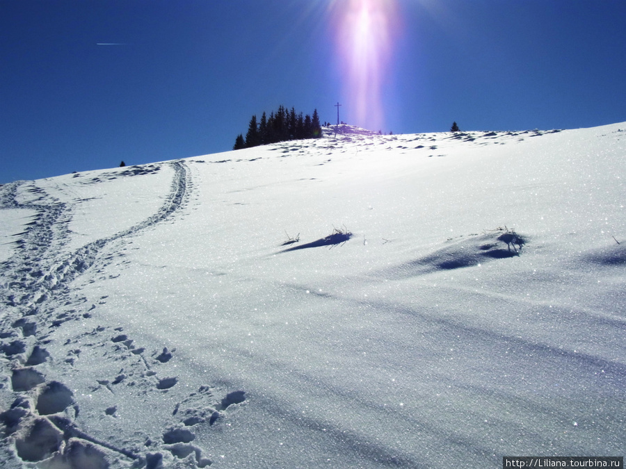 Спуск с Хёрнле Земля Бавария, Германия