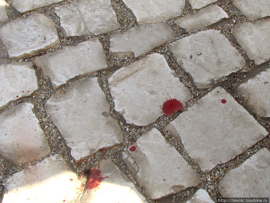 Моя кровь на камнях Лиссабона. Первый снимок после нападения, который я сделал, чтобы проверить работоспособность аппарат Лиссабон, Португалия