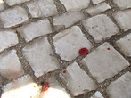 Моя кровь на камнях Лиссабона. Первый снимок после нападения, который я сделал, чтобы проверить работоспособность аппарат