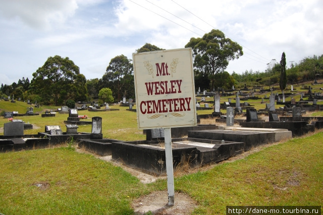 Кладбище Даргавилл, Новая Зеландия
