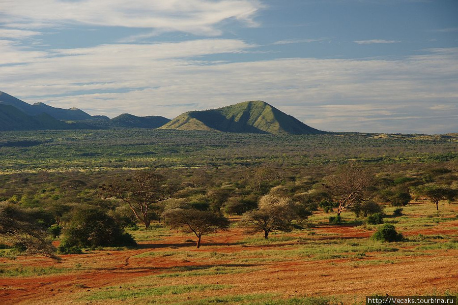 Лавовые поля Шейтани Цаво-Вест Национальный Парк, Кения