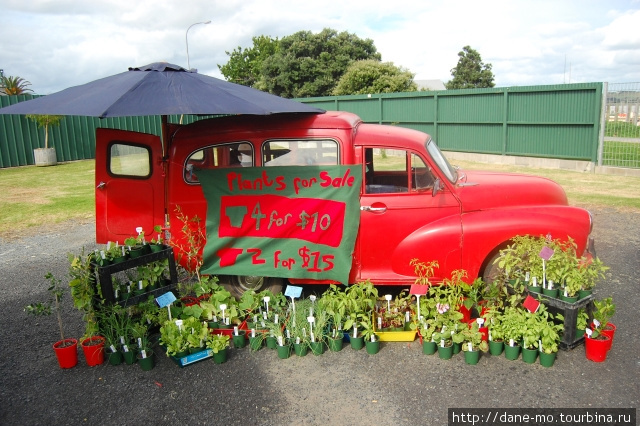 Фермерский рынок Даргавилл, Новая Зеландия