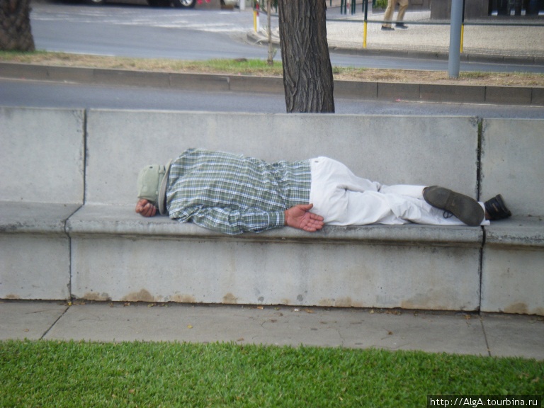 Люди прямо на улице засыпают... Регион Мадейра, Португалия