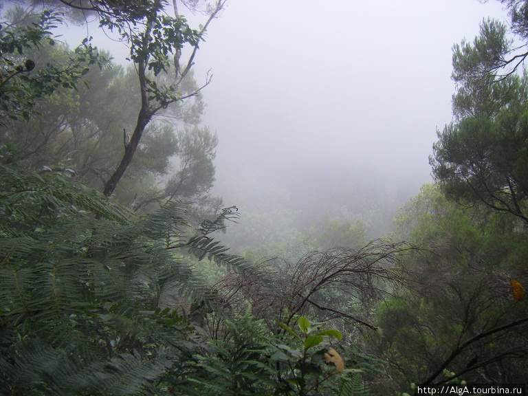 Туман уже скрыл всю панораму Регион Мадейра, Португалия