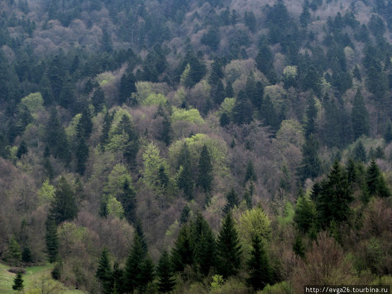 Межгорье Межгорье, Украина