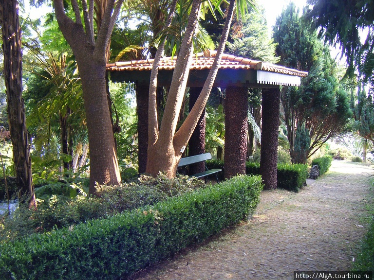 Укромный уголок в Тропическом саду Регион Мадейра, Португалия