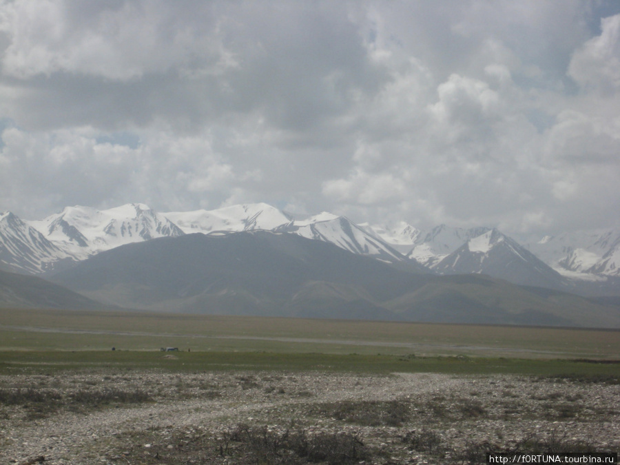 Охота в Киргизии Нарынская область, Киргизия