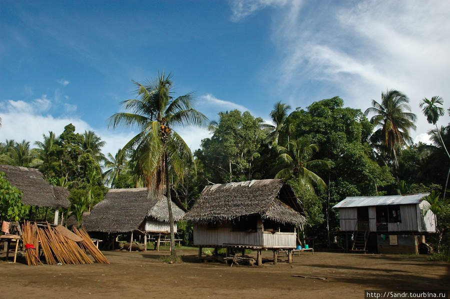 Деревянные хижины на сваях Бонгу, Папуа-Новая Гвинея